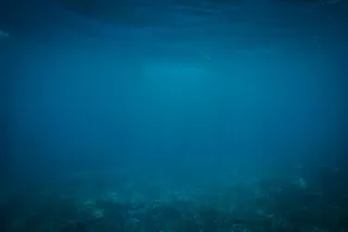 海洋,卷积云,海扇,戴水肺潜水,梭鱼类,水下蓝色海洋海