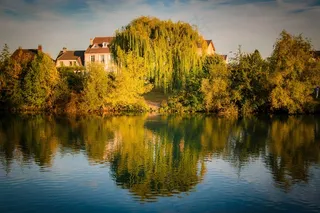 自然，河流，水，景观，牧场，Abendstimmung
