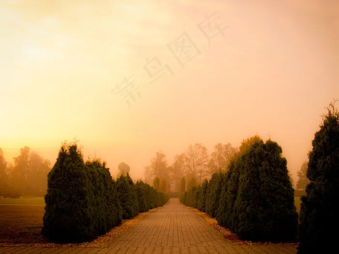 十一月，胡同，反思