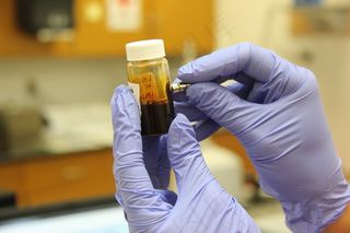 研究，科学，实验室，实验室，研究员，生物
