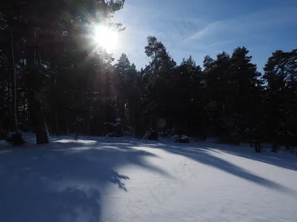 雪景,冬天,太阳,阴影,雪,冷 雪景,冬天,太阳,阴影,雪,冷