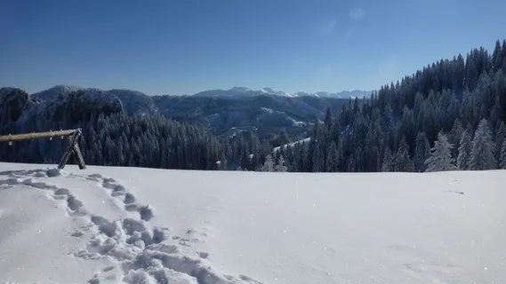 阿尔高,绿化,冬天,雪,太阳,冷,弗罗斯特 阿尔高,绿化,冬天,雪,太阳,冷,弗罗斯特