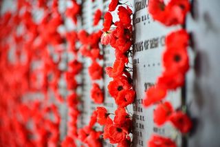 战争纪念馆，堪培拉，罂粟花，纪念馆，战争