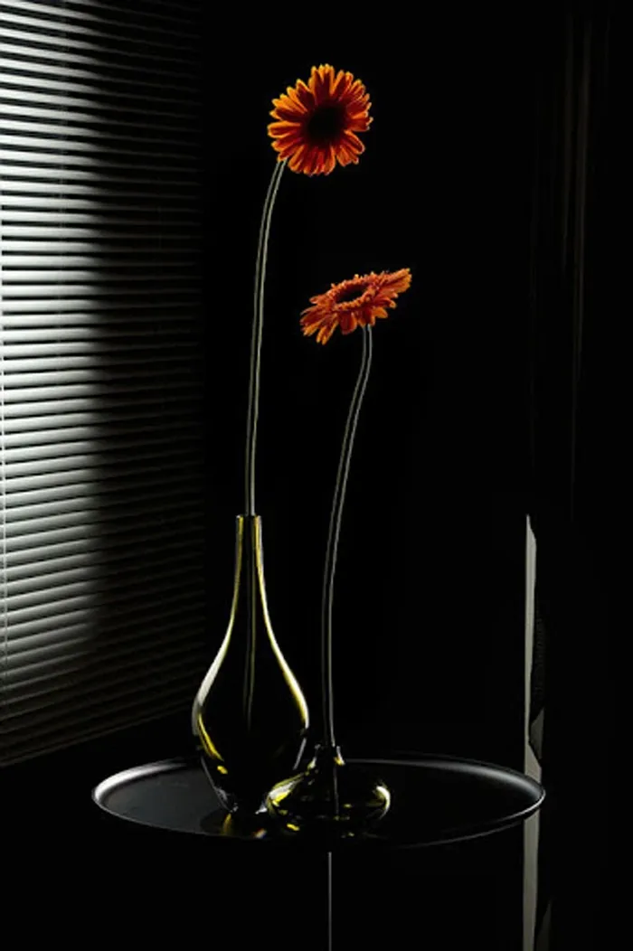 花，花瓶，黑色，装饰，颜色，自然