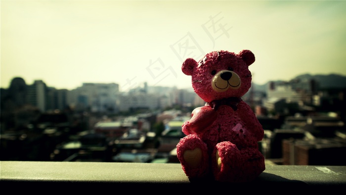 泰迪熊，玩具