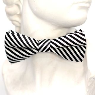 黑色，白色，条纹，飞，领带，循环，时尚，男子