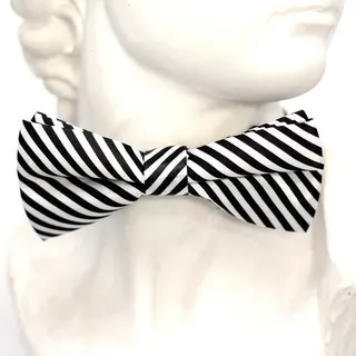 黑色，白色，条纹，飞，领带，循环，时尚，男子