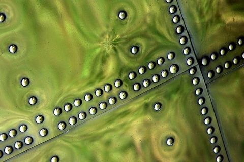 摄影师在2010年陆军数码摄影大赛110311中开拓了视野