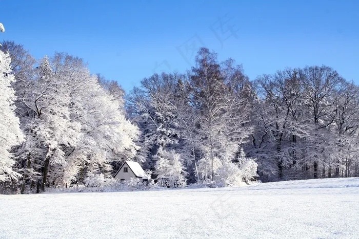 冬季，景观，雪，冷，寒冬，下雪，休息