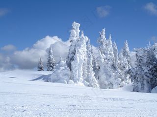 冻结，树，冰，山
