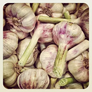 大蒜，食品，白色，芳香，气味