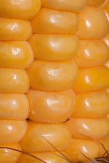 玉米仁，玉米棒子，玉米，Zea Mays，谷物