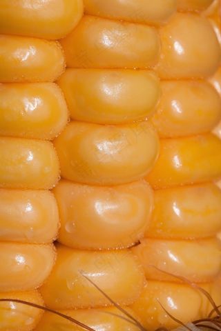玉米仁，玉米棒子，玉米，Zea Mays，谷物