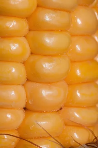玉米仁，玉米棒子，玉米，Zea Mays，谷物