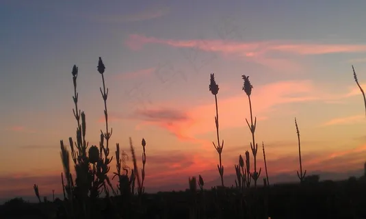 日落，自然，云，天空，地平线，太阳，景观