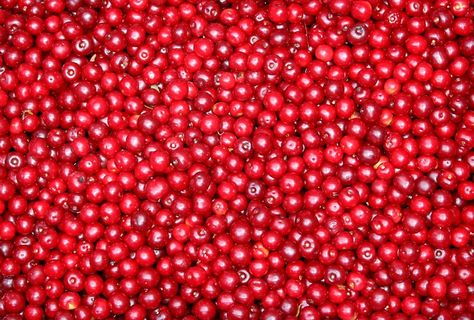 醋栗，水果，红色，浆果，背景