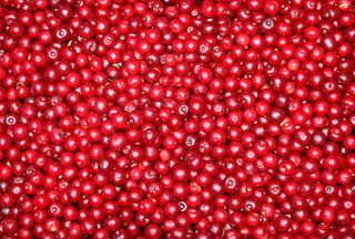 醋栗，水果，红色，浆果，背景