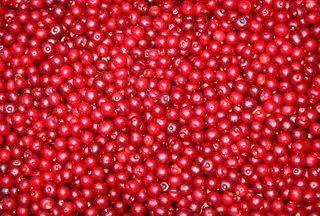 醋栗，水果，红色，浆果，背景