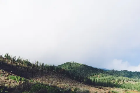 山峦,生态林,茶地,草原,龙脊梯田,自然云多云森林 山峦,生态林,茶地,草原,龙脊梯田,自然云多云森林