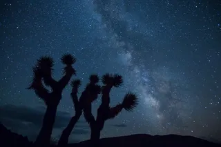 银河，星星，夜，天空，景观，沙漠，仙人掌