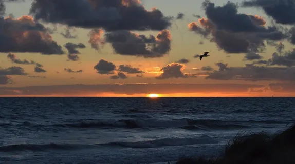 日落，海，天空，自然，海洋，海滩，夏天