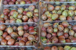 醋栗，吃，浆果，维生素，食品