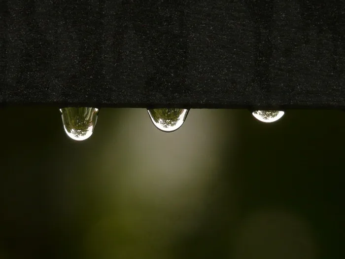 雨珠,带水珠的树叶,包,手提包,戒指,雨滴从木头上滴下来