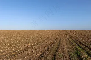 收获，秋，玉米，原野，耕地，性质，地平线