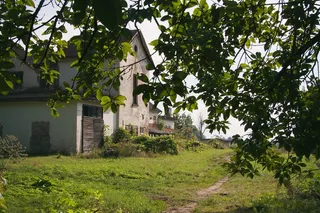 树,建筑,自然公园,寺塔,园林景观,被遗弃的平民别墅