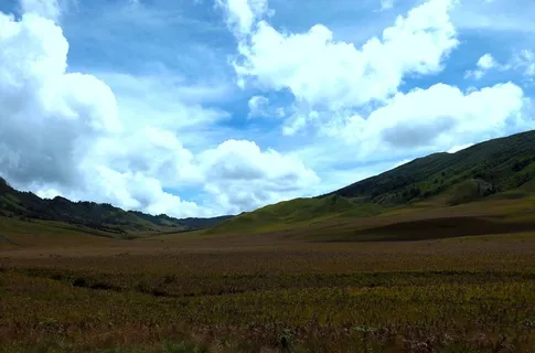 萨凡纳(Savana),古隆(Gunung),布罗莫(Bromo),贾瓦帖木尔(Jawa Timur),印度尼西亚,东爪哇 萨凡纳(Savana),古隆(Gunung),布罗莫(Bromo),贾瓦帖木尔(Jawa Timur),印度尼西亚,东爪哇