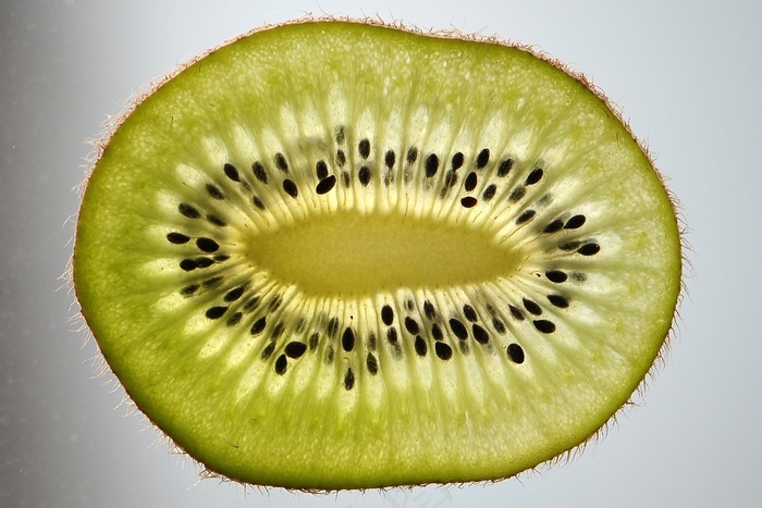 奇异果，奇异果片，水果，绿色，光盘