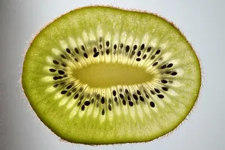 奇异果，奇异果片，水果，绿色，光盘