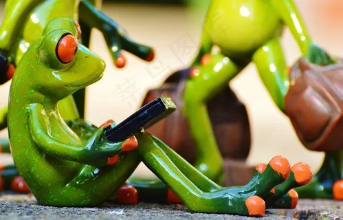 青蛙，电脑，集团，可笑，旅行，行李，手提袋