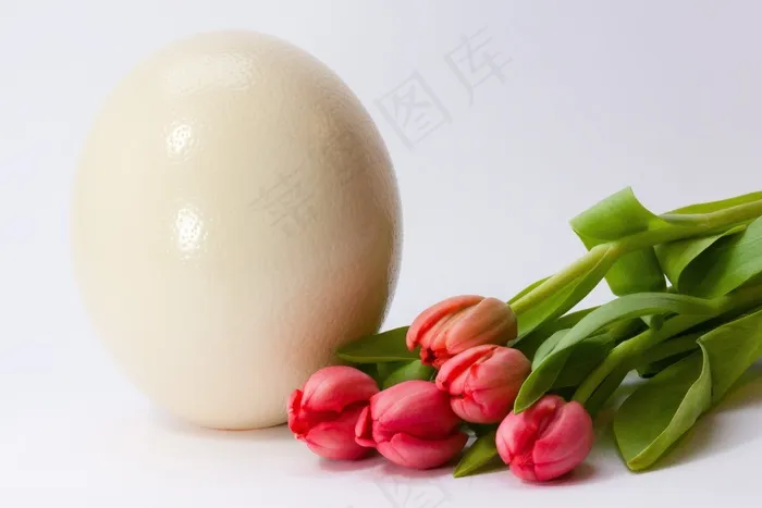 复活节彩蛋和郁金香花