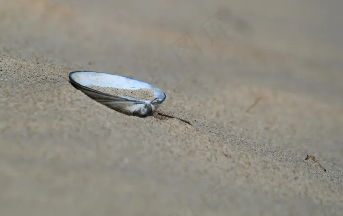 海滩，沙，海，假期，北海，海岸，沙滩