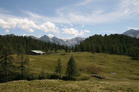 Gotzalm，高原，高山草甸地区，施泰纳尼斯米尔