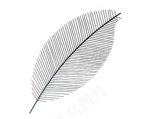 叶在白色背景上的抽象形象