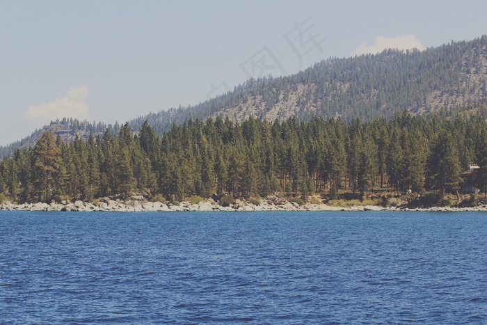 河，湖泊，树木，森林，自然，景观，水