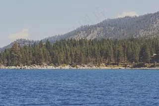 河，湖泊，树木，森林，自然，景观，水