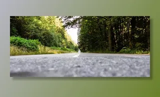 道路，树木，自然，景观，森林，绿色，风景名胜