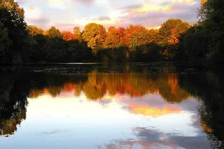 大自然，湖，傍晚的太阳，秋季，公园，森林