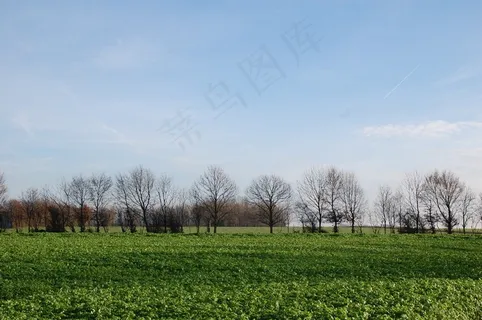自然，风景，田野