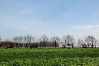 自然，风景，田野
