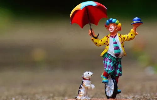 小丑,滑稽,独轮车,屏幕,狗,可爱,图 小丑,滑稽,独轮车,屏幕,狗,可爱,图
