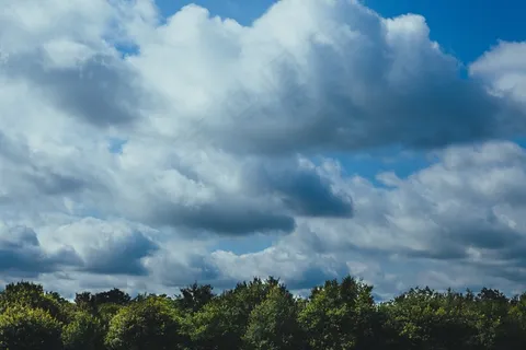 天空,白云,卷积云,风景,树,天空云多云森林 天空,白云,卷积云,风景,树,天空云多云森林
