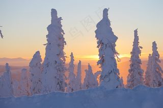 日落，冰，阿拉斯加，树木，大雪覆盖