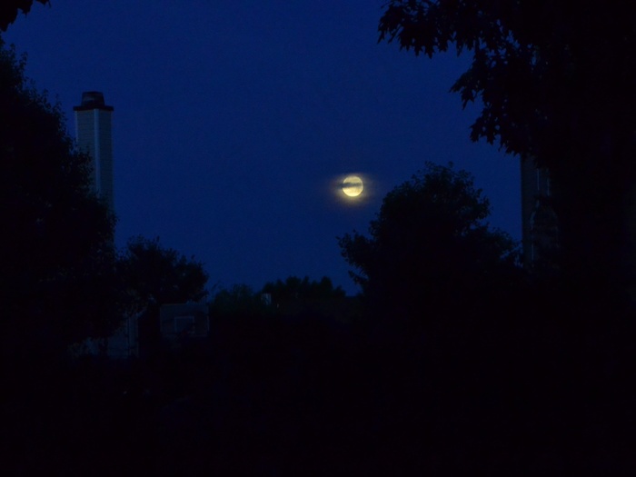 夜，月亮，落月，漆黑的天空，天空，黑暗，早晨