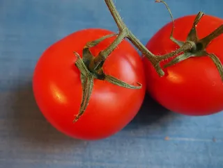番茄，水果，红色，蔬菜，营养，素食主义者