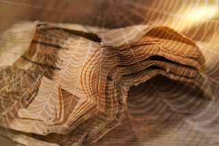 报纸，日报，页面，字体，旧脚本