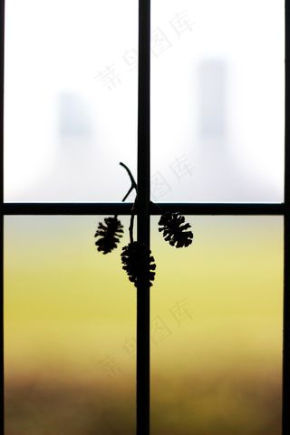 篱笆，绿色，黑色，植物，白色，背景，光